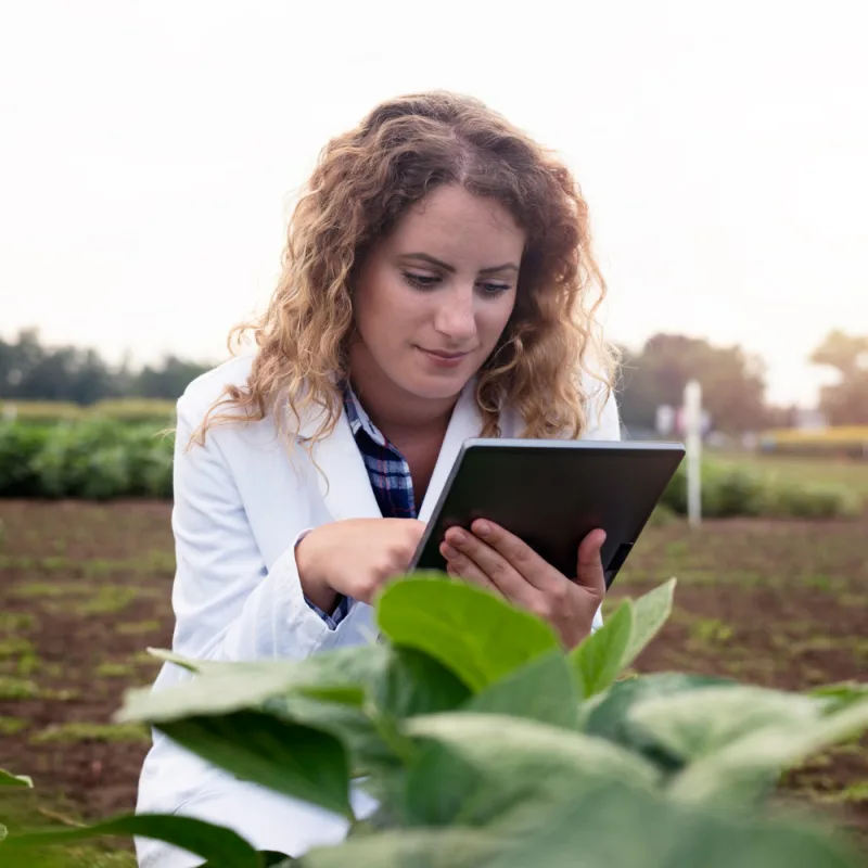 Agrônoma consultando um tablet no meio da lavoura