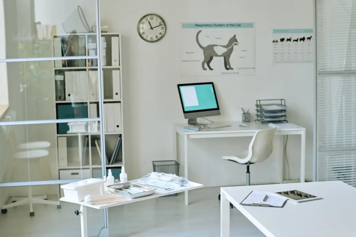 Clínica veterinária com site profissional e moderno