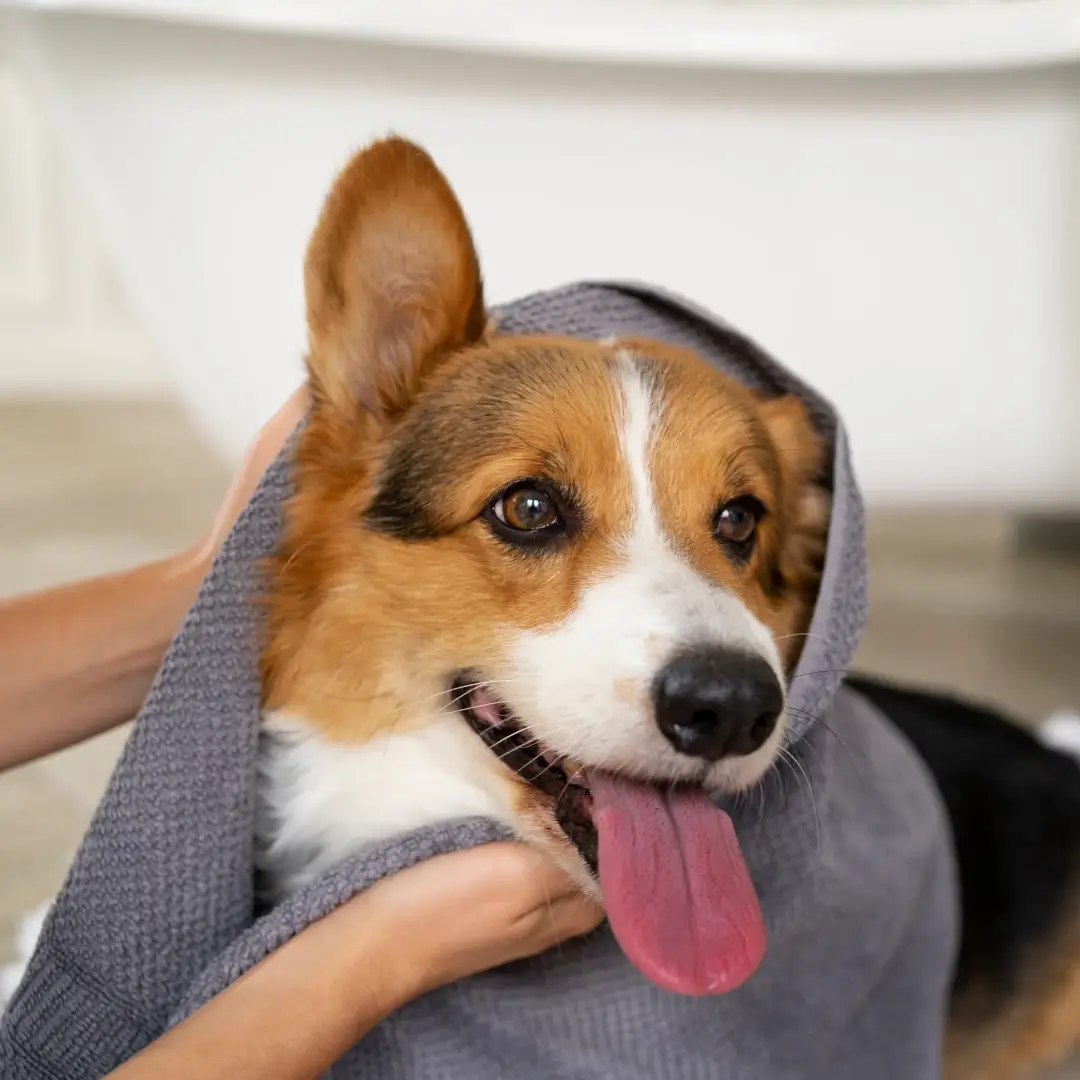 Publicação do Instagram